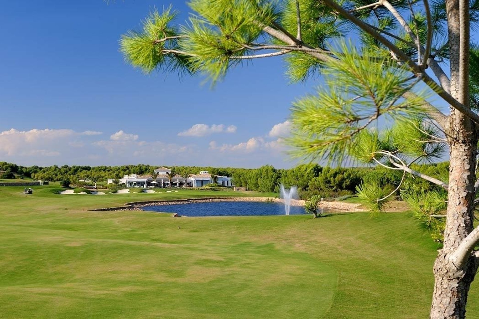 Rynek pierwotny - Daszek - Orihuela - Las Colinas Golf