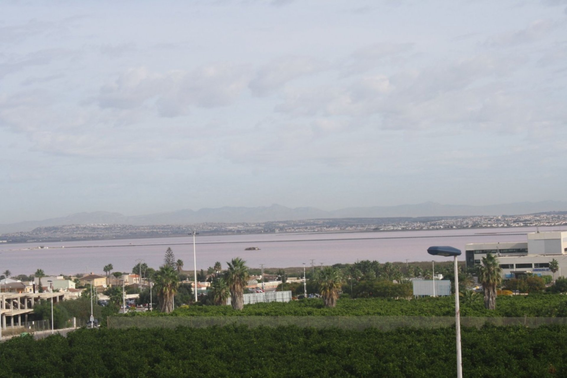 Rynek pierwotny - Szeregowiec - Torrevieja - Los altos