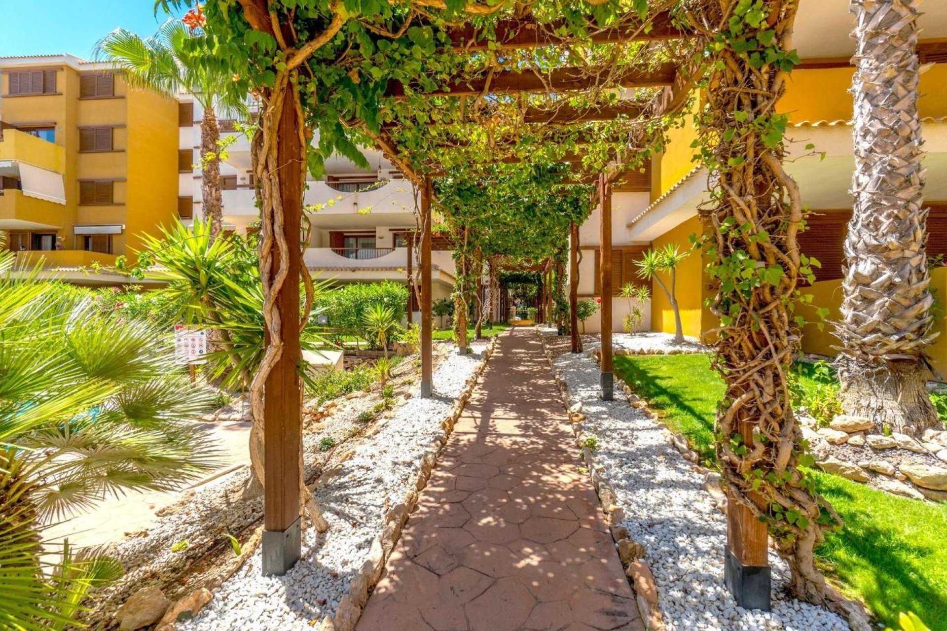 Rynek wtórny - Apartament - Orihuela Costa - Punta Prima