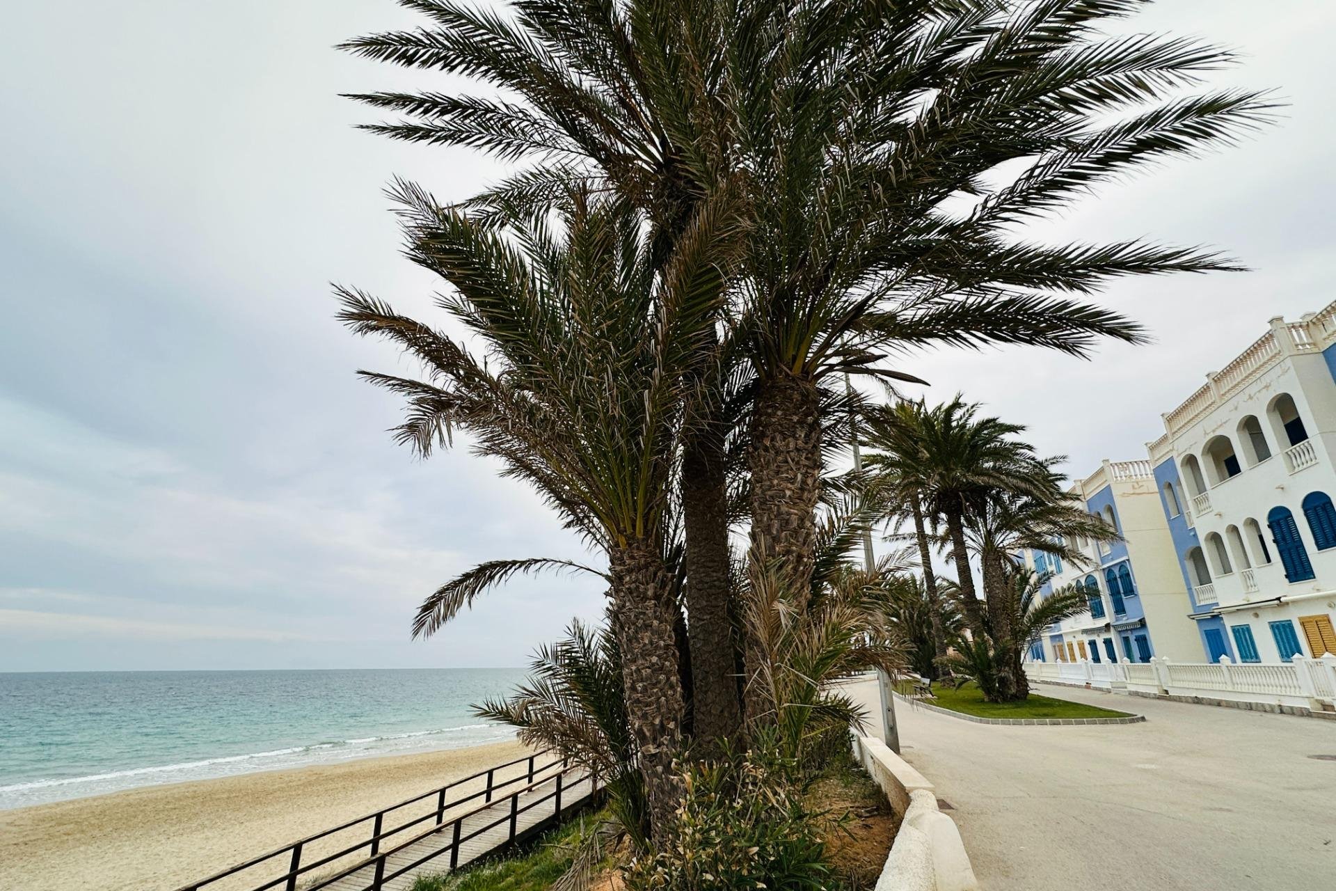 Rynek wtórny - Apartament - Pilar de la Horadada - Mil Palmeras