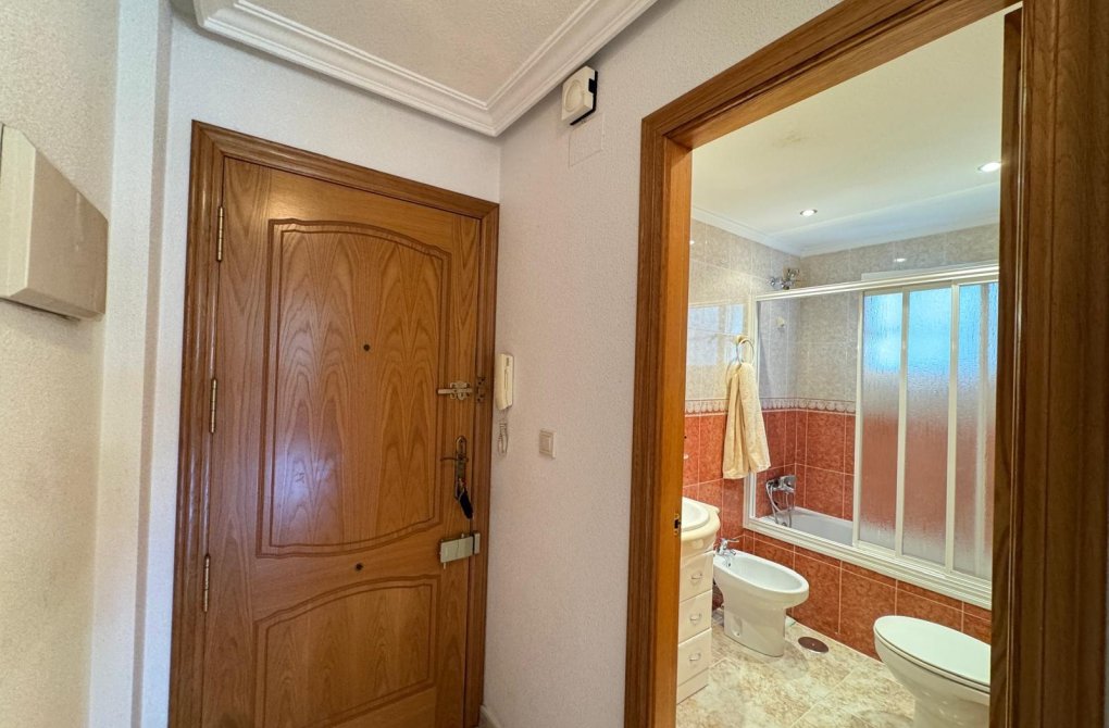 Rynek wtórny - Apartament - Torrevieja - Estacion de autobuses