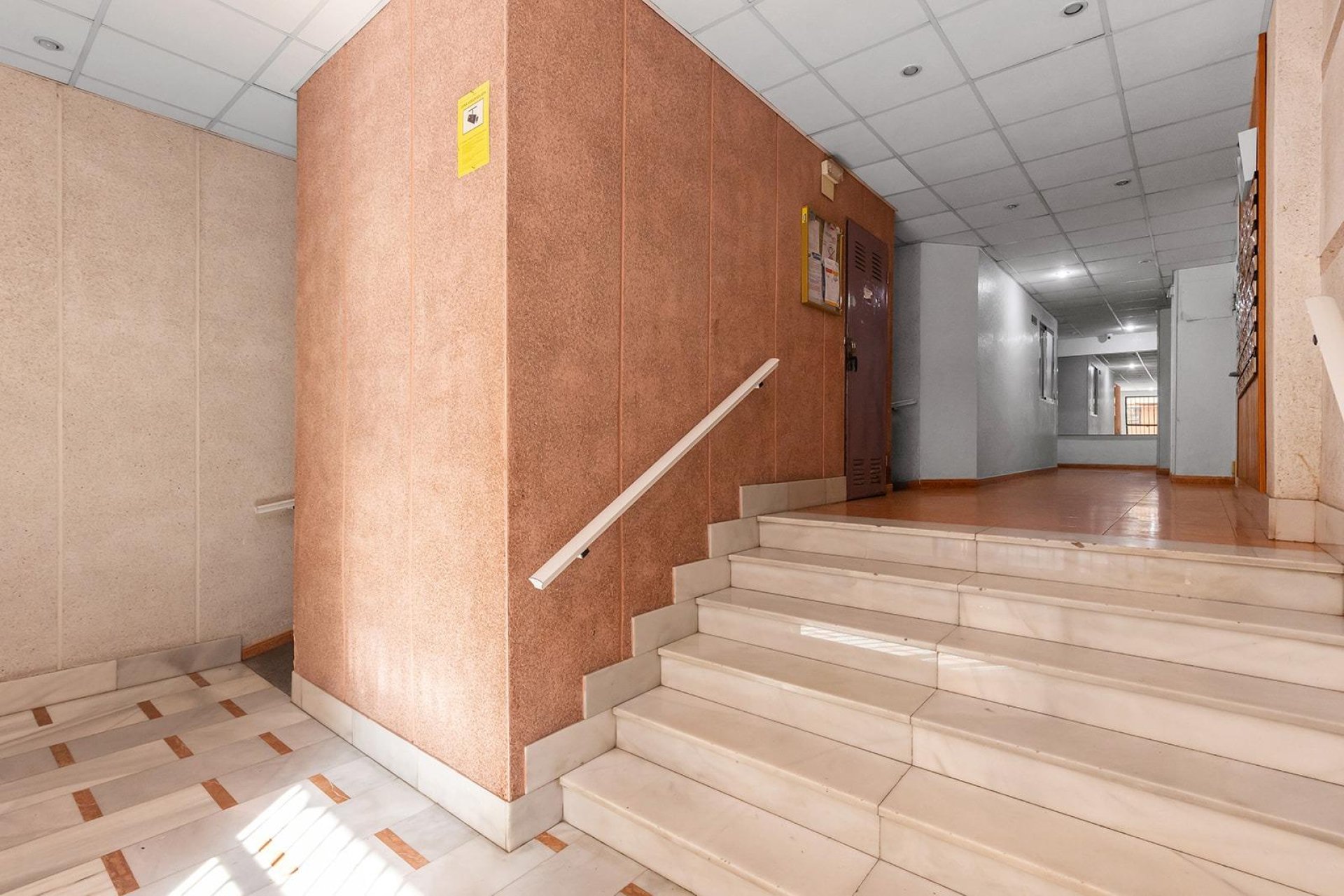 Rynek wtórny - Apartament - Torrevieja - Estacion de autobuses