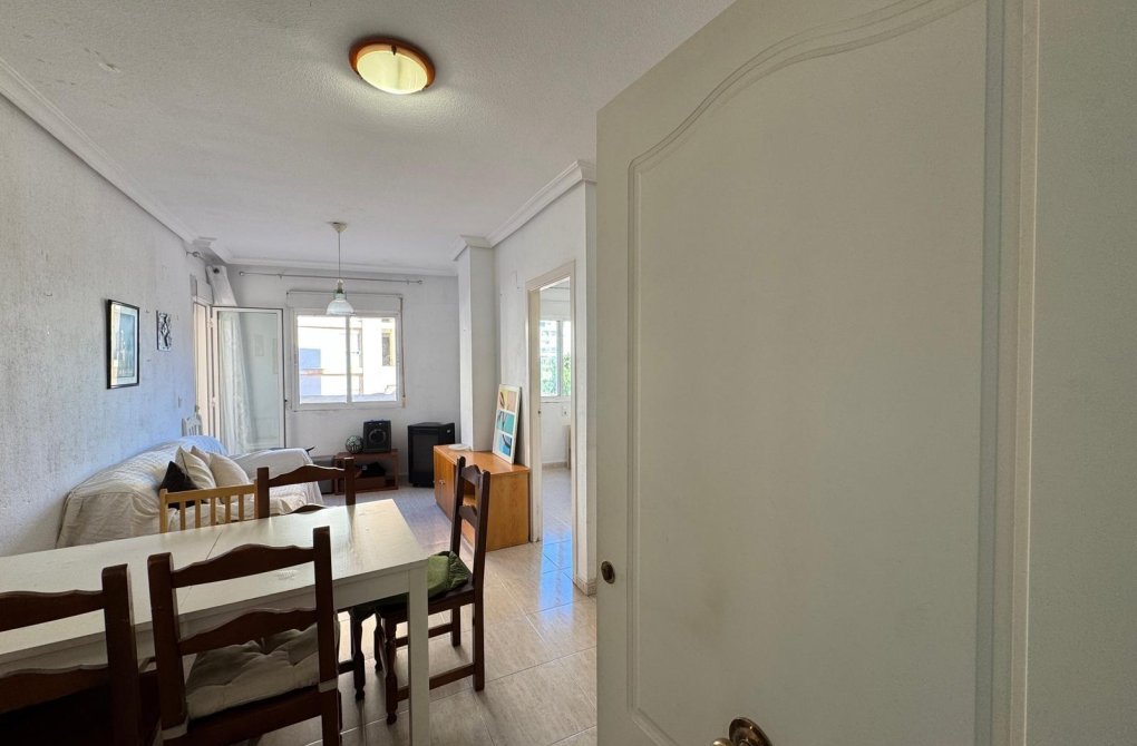 Rynek wtórny - Apartament - Torrevieja - Estacion de autobuses