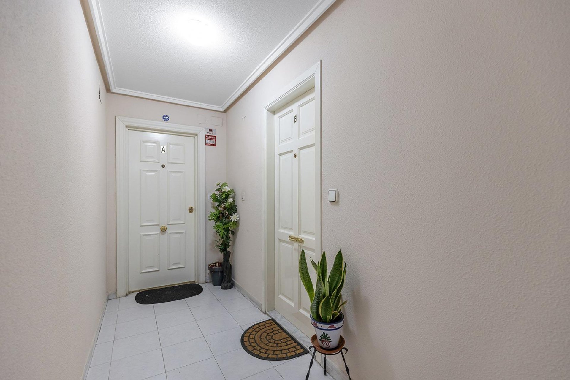 Rynek wtórny - Apartament - Torrevieja - Estacion de autobuses