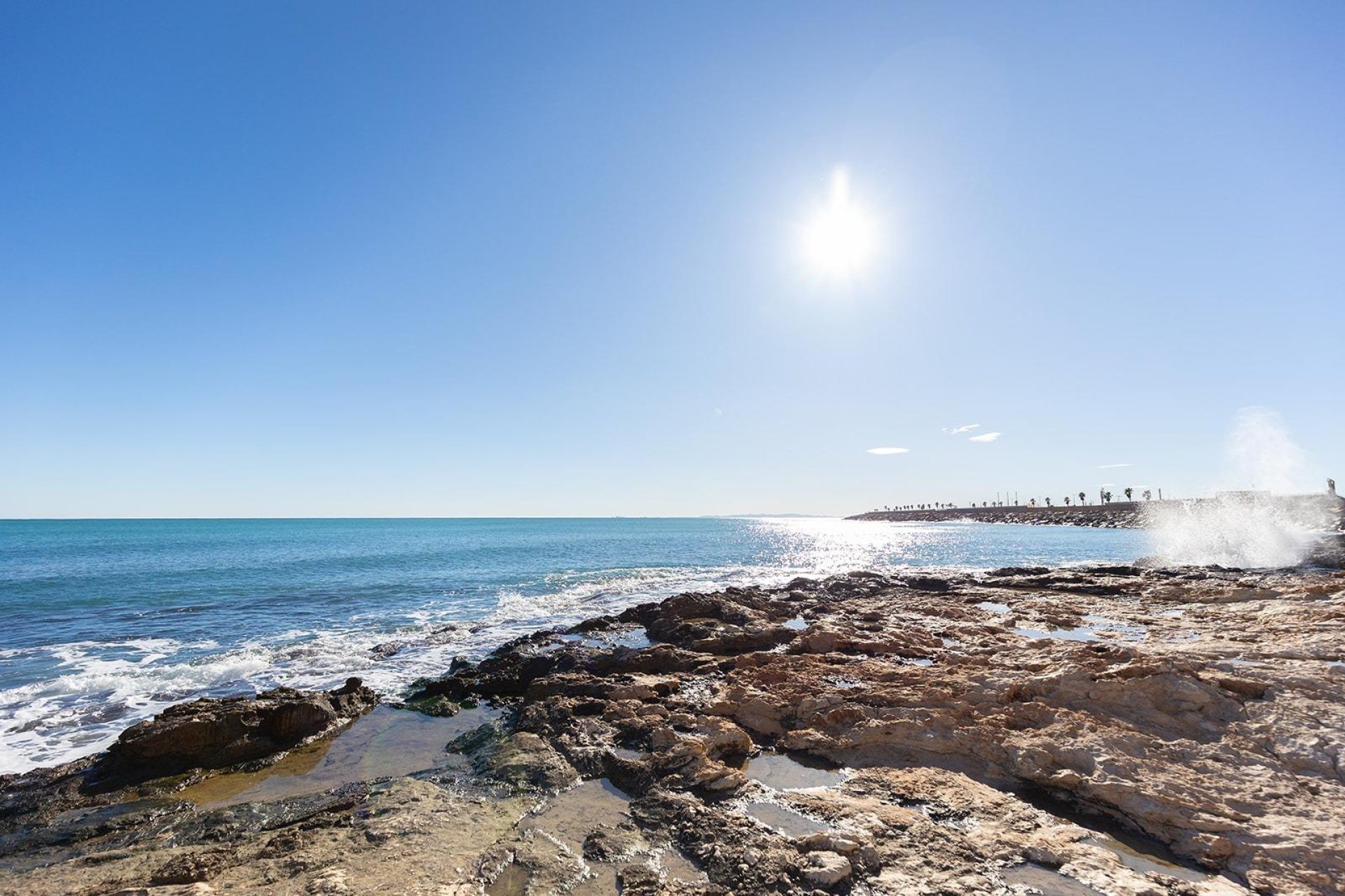 Rynek wtórny - Apartament - Torrevieja - Estacion de autobuses