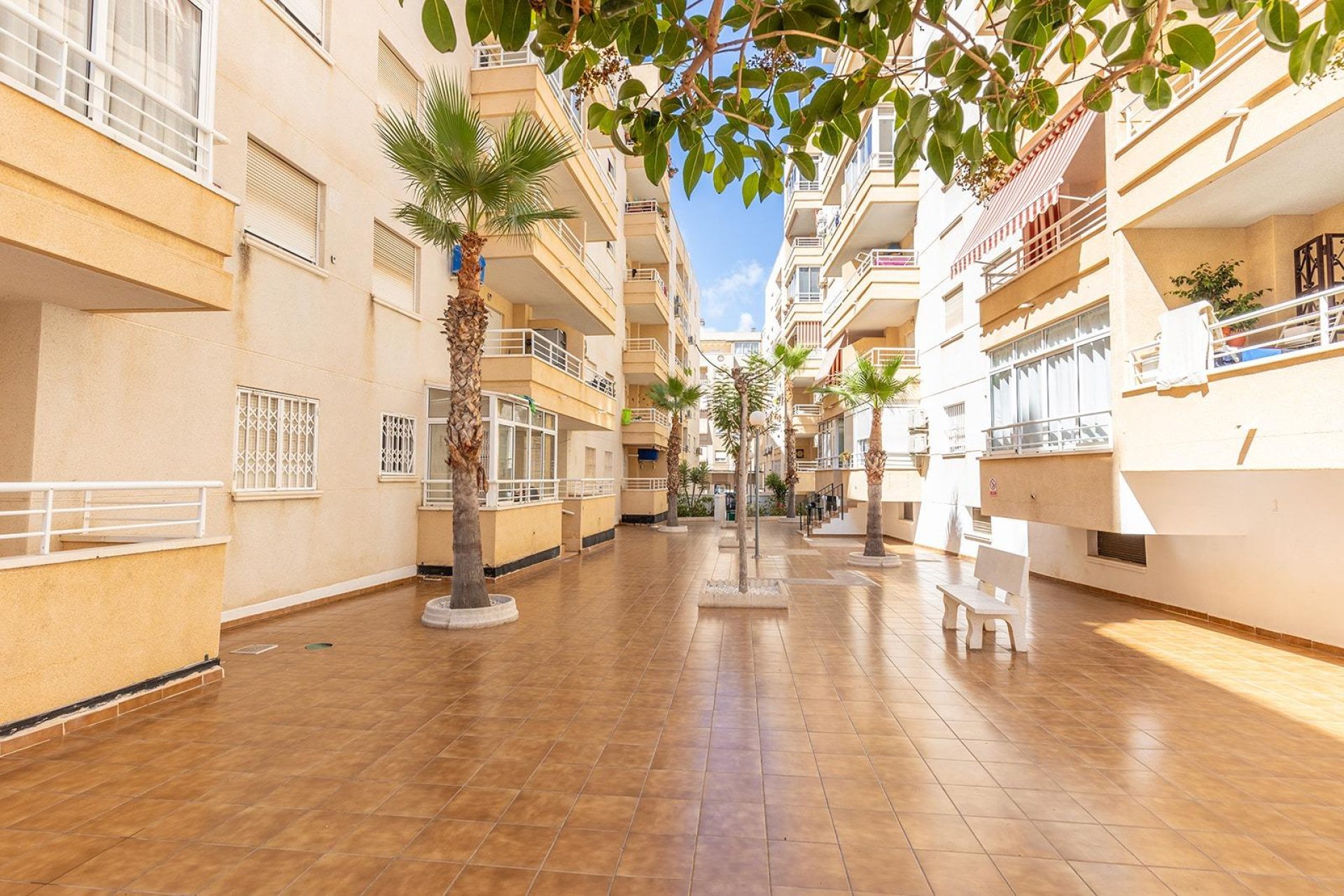 Rynek wtórny - Apartament - Torrevieja - Estacion de autobuses