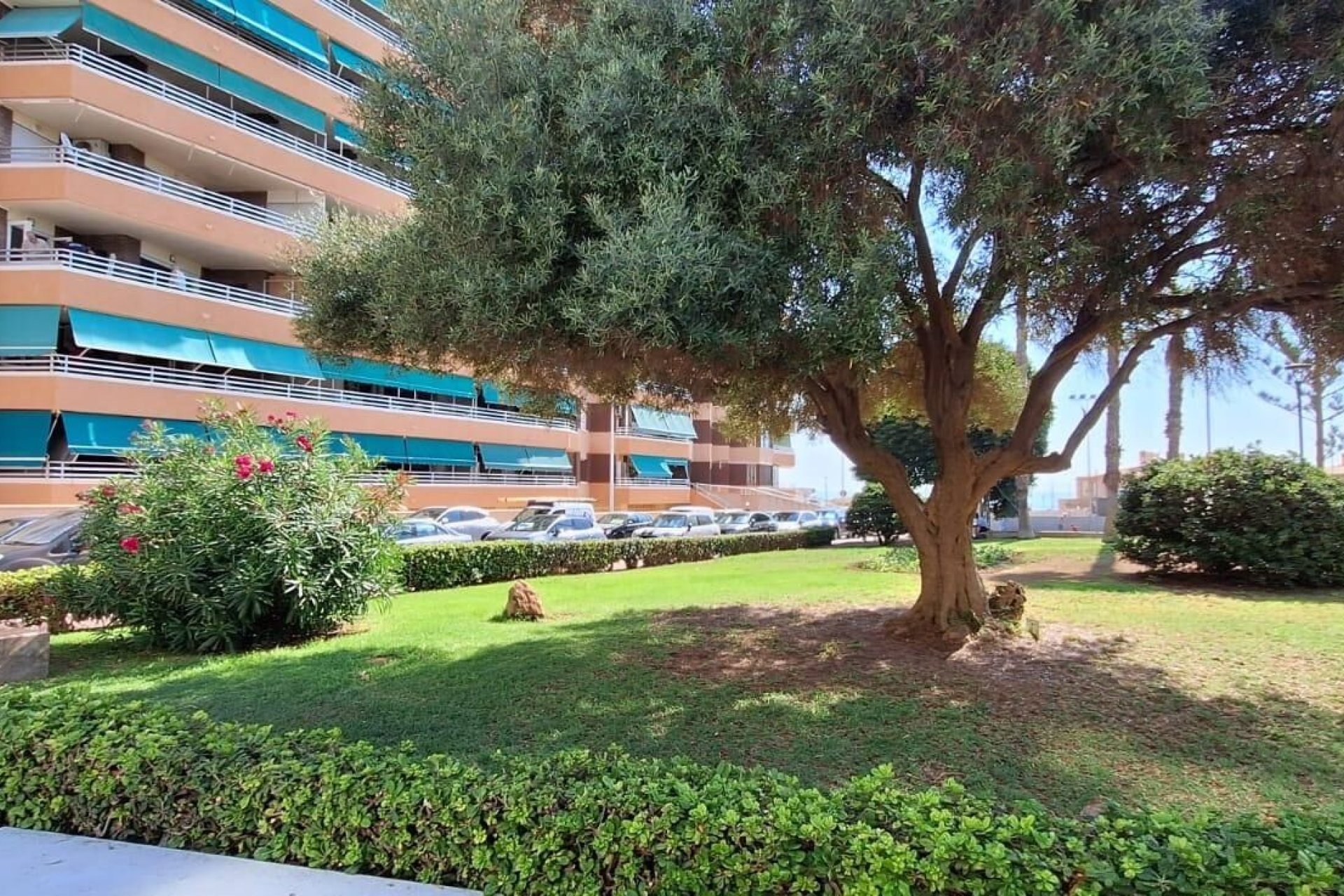Rynek wtórny - Apartament - Torrevieja - La Mata