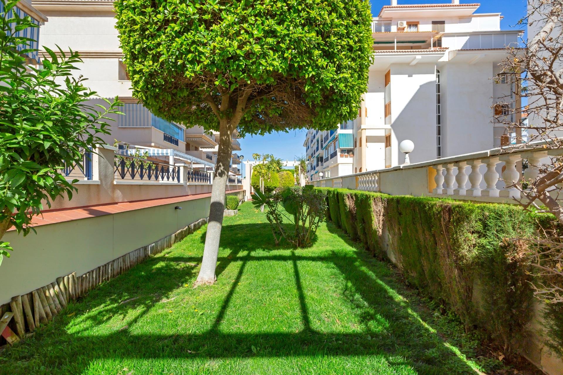 Rynek wtórny - Apartament - Torrevieja - La Mata