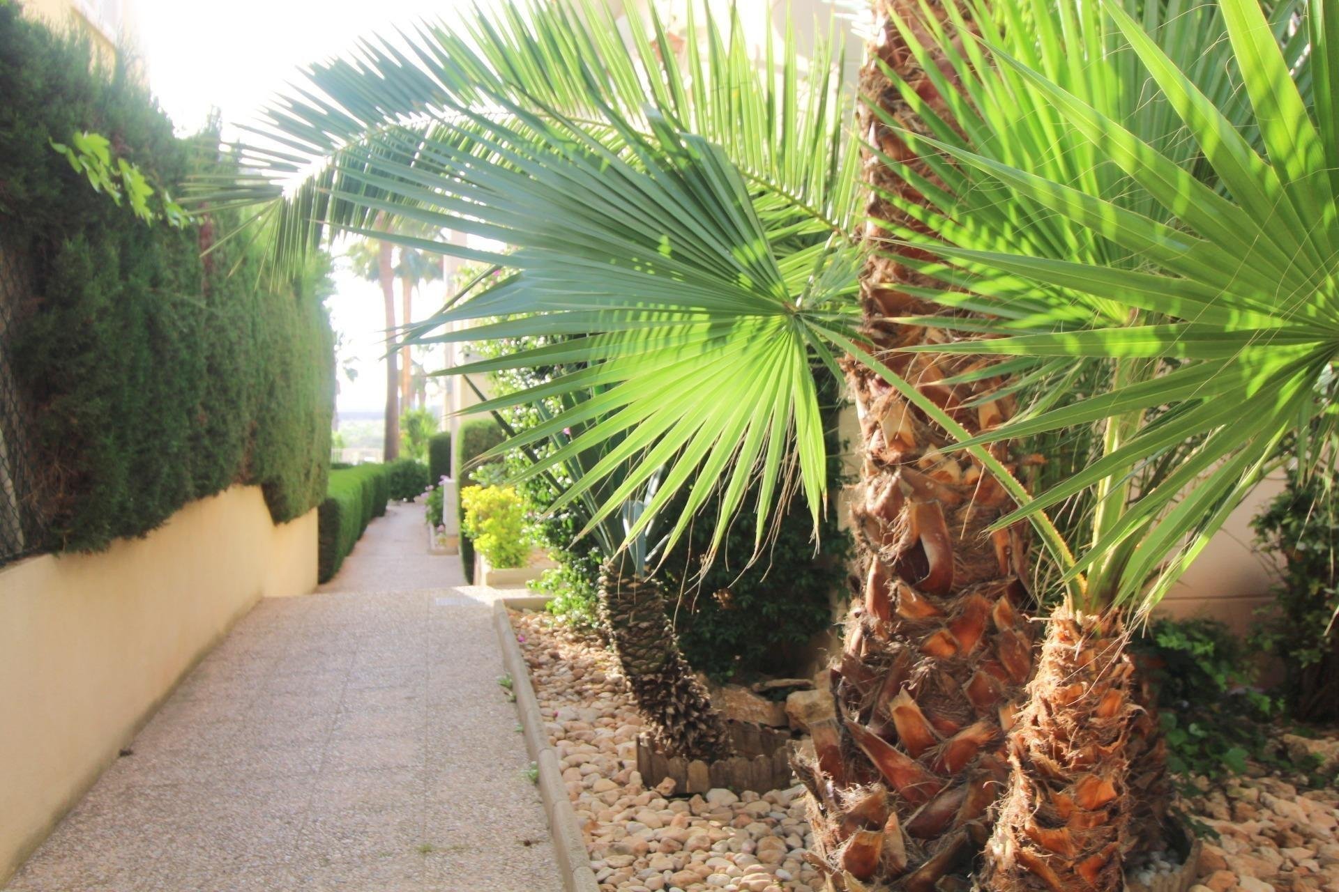 Rynek wtórny - Apartament - Torrevieja - La veleta