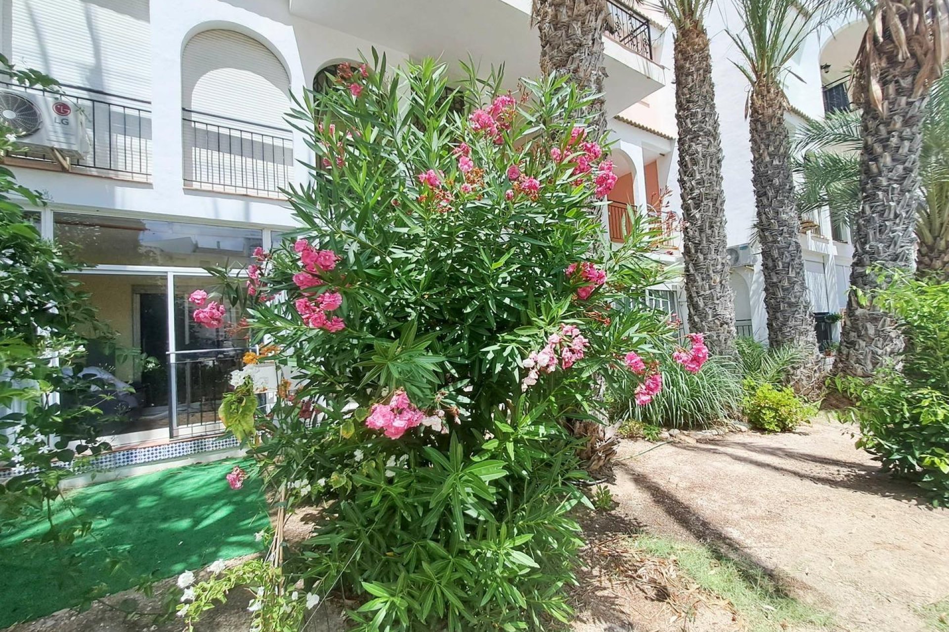 Rynek wtórny - Apartament - Torrevieja - La veleta