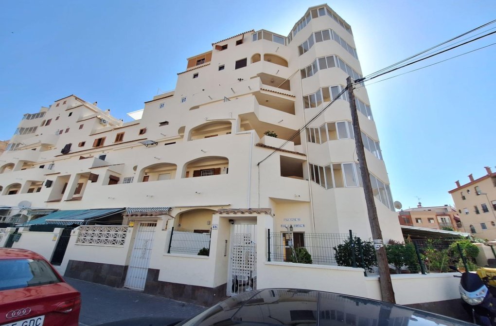 Rynek wtórny - Apartament - Torrevieja - Nueva Torrevieja