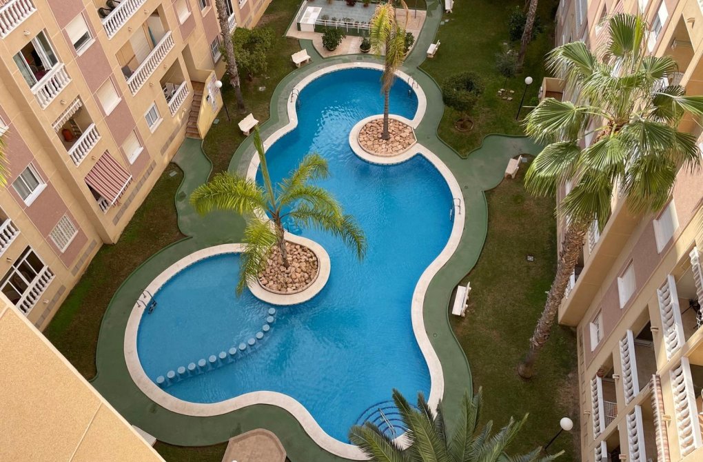 Rynek wtórny - Apartament - Torrevieja - Parque de las Naciones