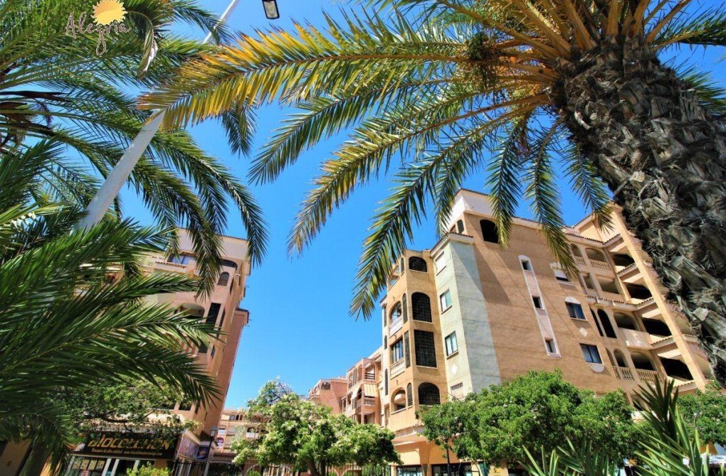 Rynek wtórny - Apartament - Torrevieja - Parque las naciones