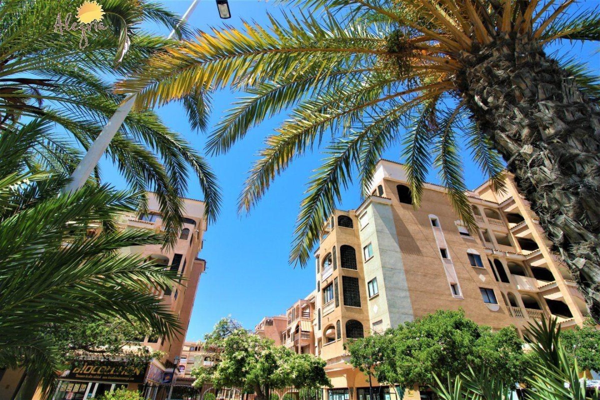 Rynek wtórny - Apartament - Torrevieja - Parque las naciones