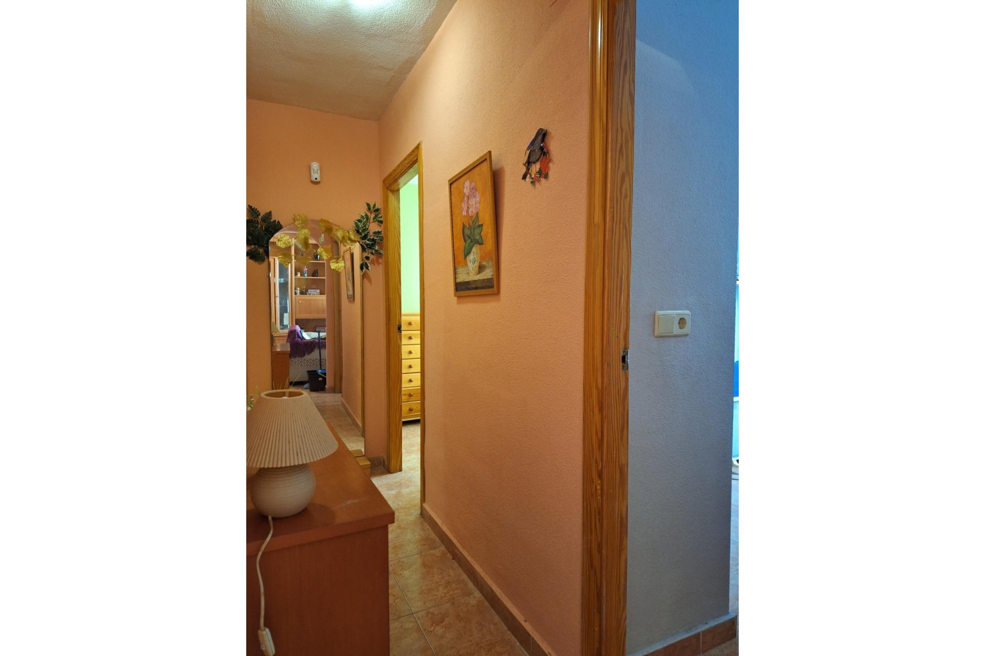 Rynek wtórny - Apartament - Torrevieja - Parque las naciones