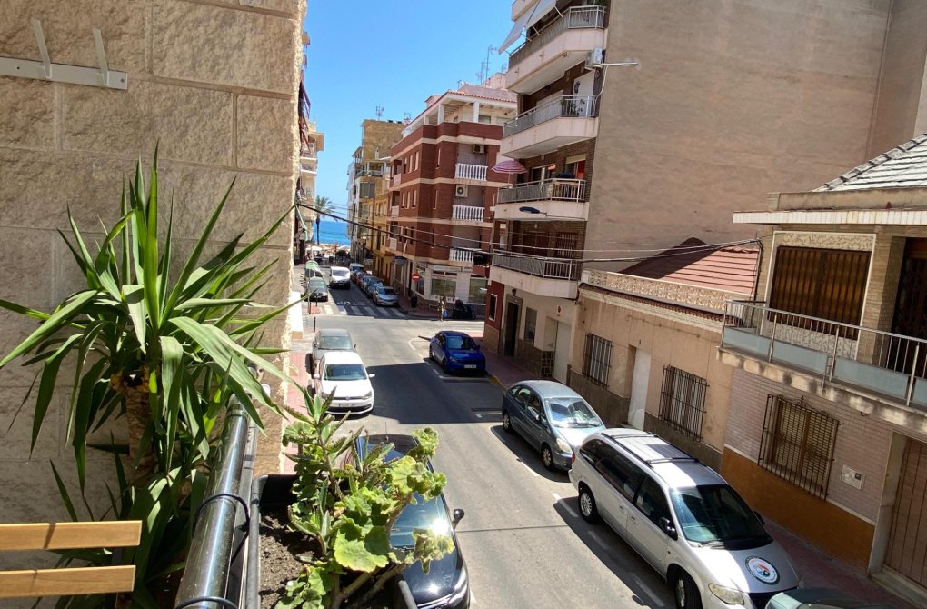 Rynek wtórny - Apartament - Torrevieja - Paseo maritimo