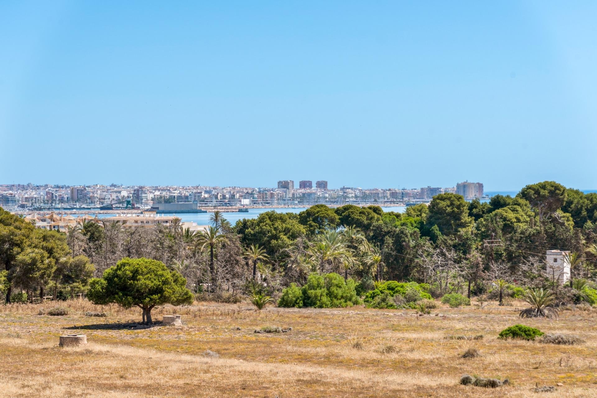 Rynek wtórny - Apartament - Torrevieja - Punta prima