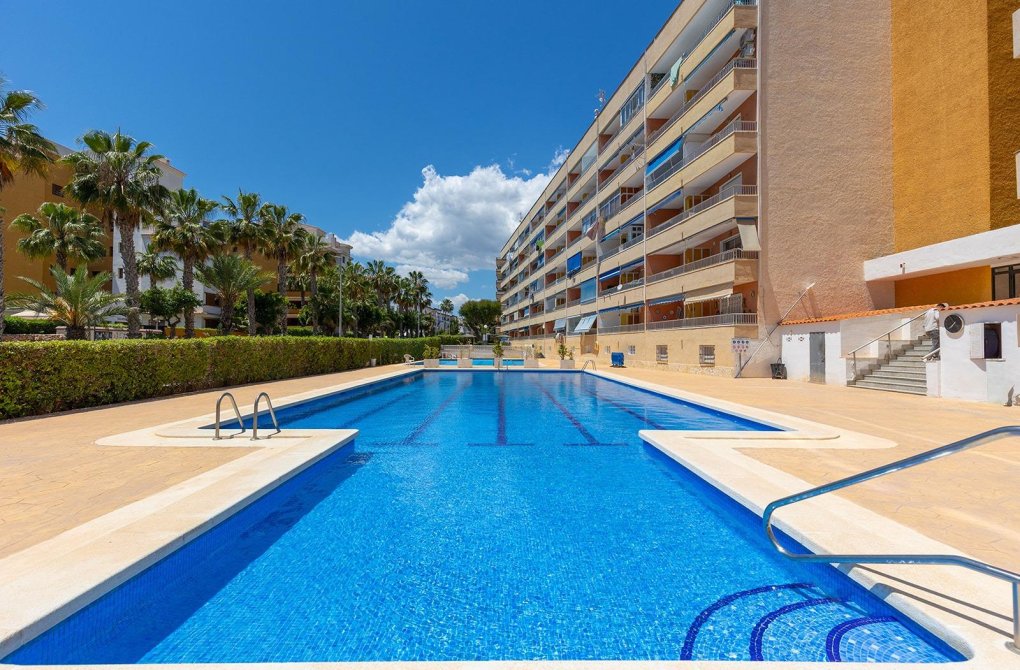Rynek wtórny - Apartament - Torrevieja - Punta prima