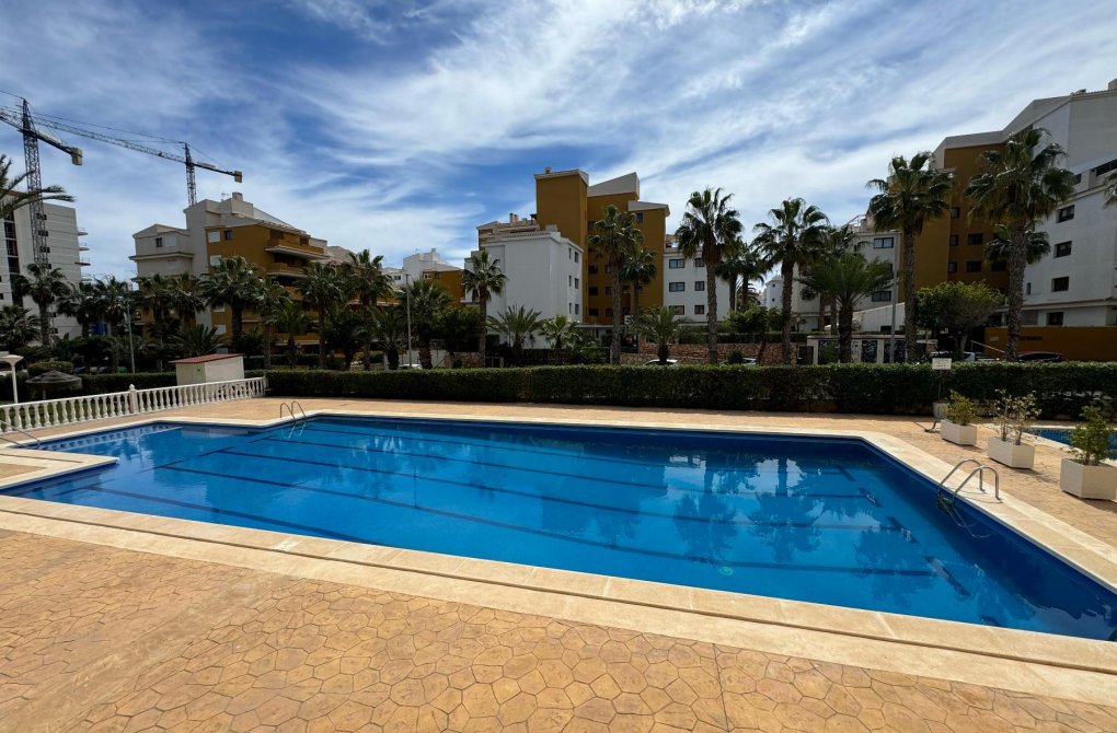 Rynek wtórny - Apartament - Torrevieja - Punta prima