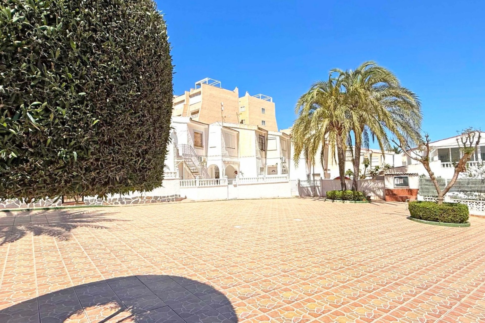 Rynek wtórny - Apartament - Torrevieja - Torrelamata - La Mata