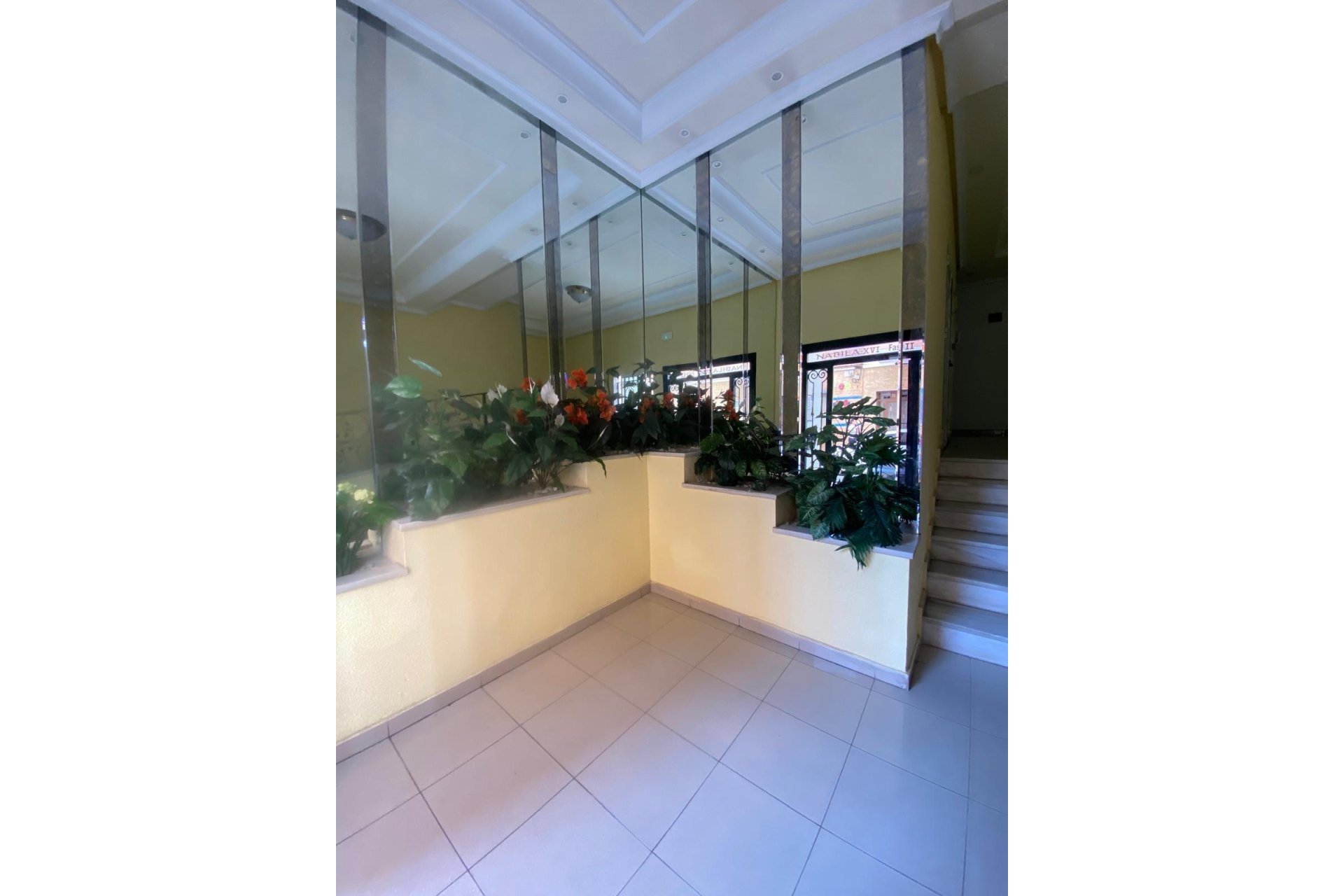 Rynek wtórny - Apartament - Torrevieja - torrevieja