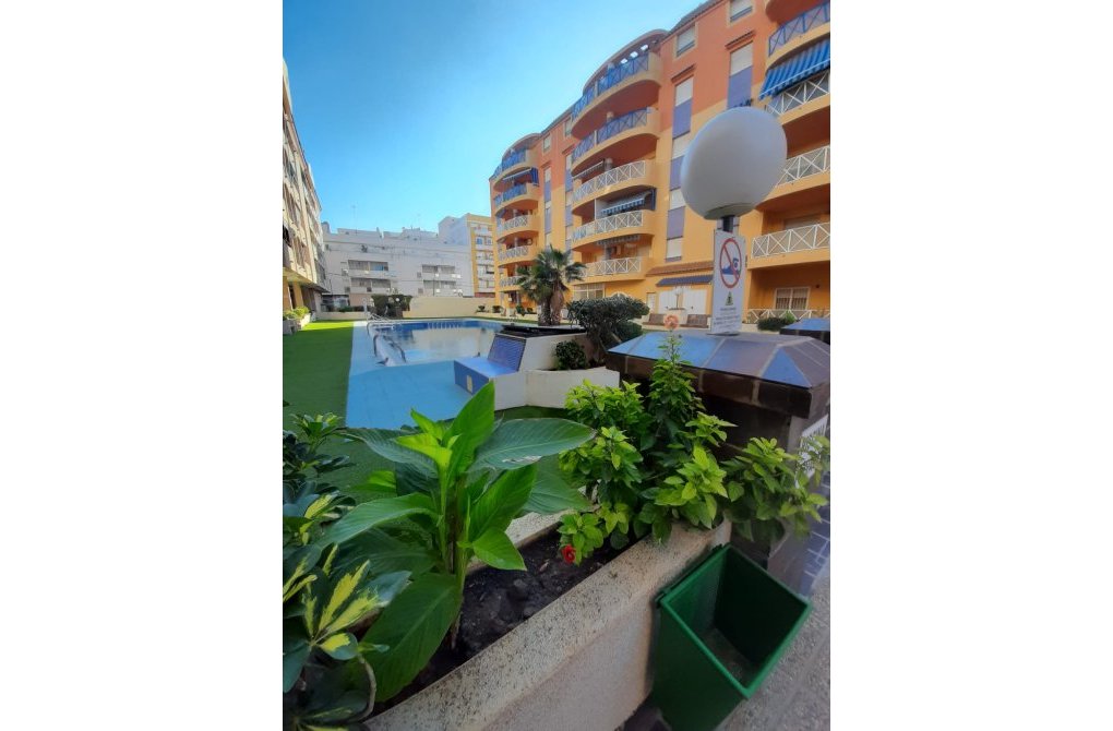 Rynek wtórny - Apartament - Torrevieja - torrevieja