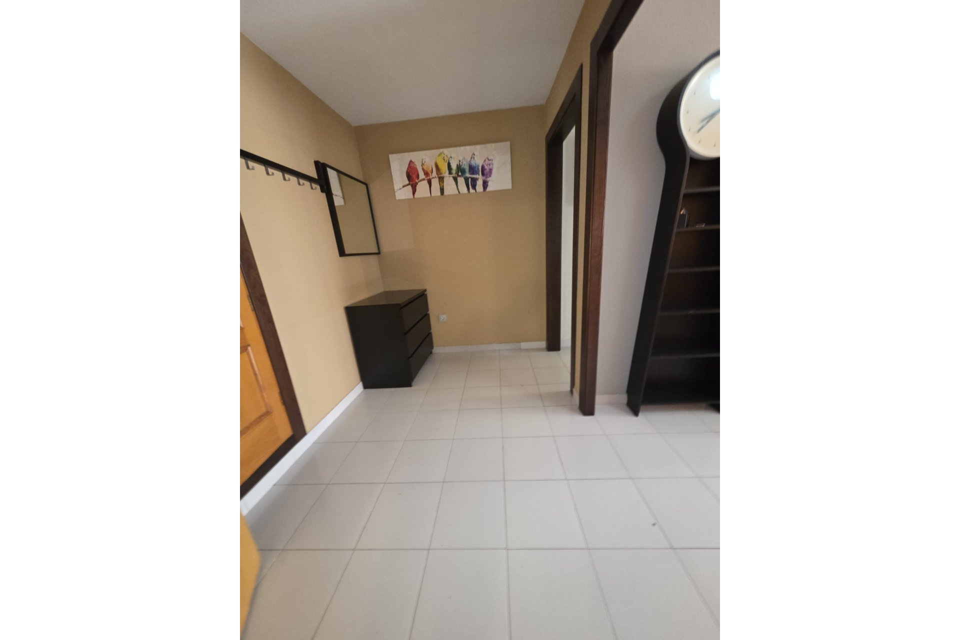 Rynek wtórny - Apartament - Torrevieja - torrevieja