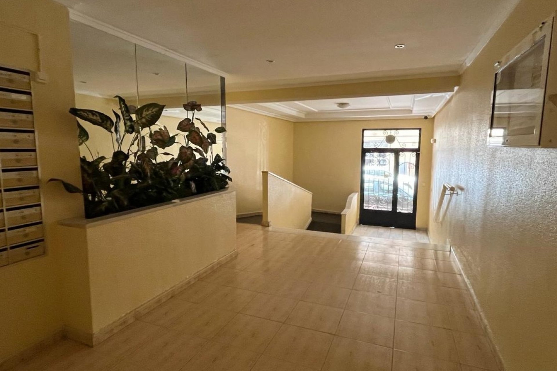 Rynek wtórny - Apartament - Torrevieja