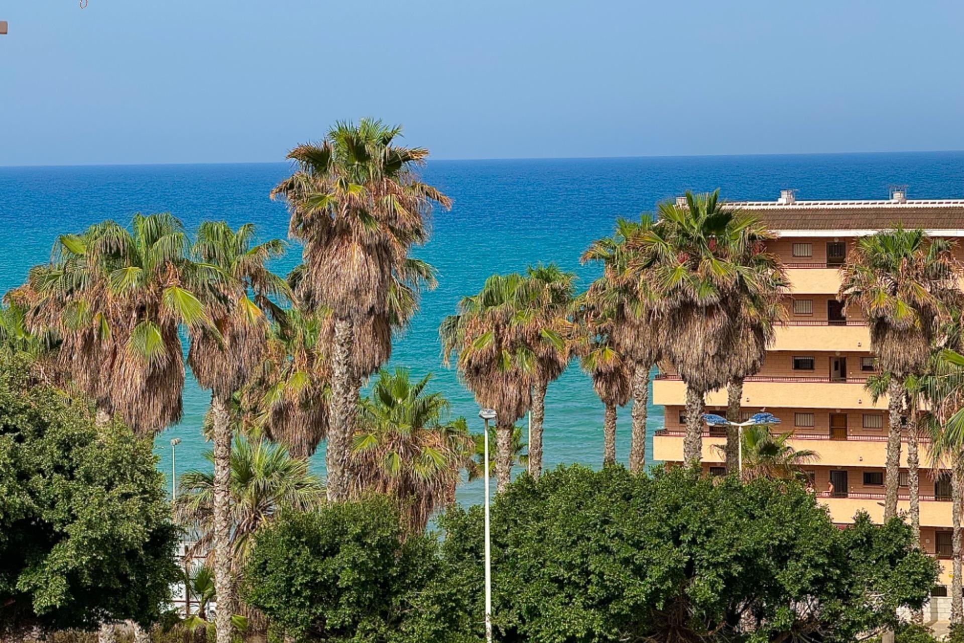 Rynek wtórny - Bungalow - Torrevieja - Cabo cervera