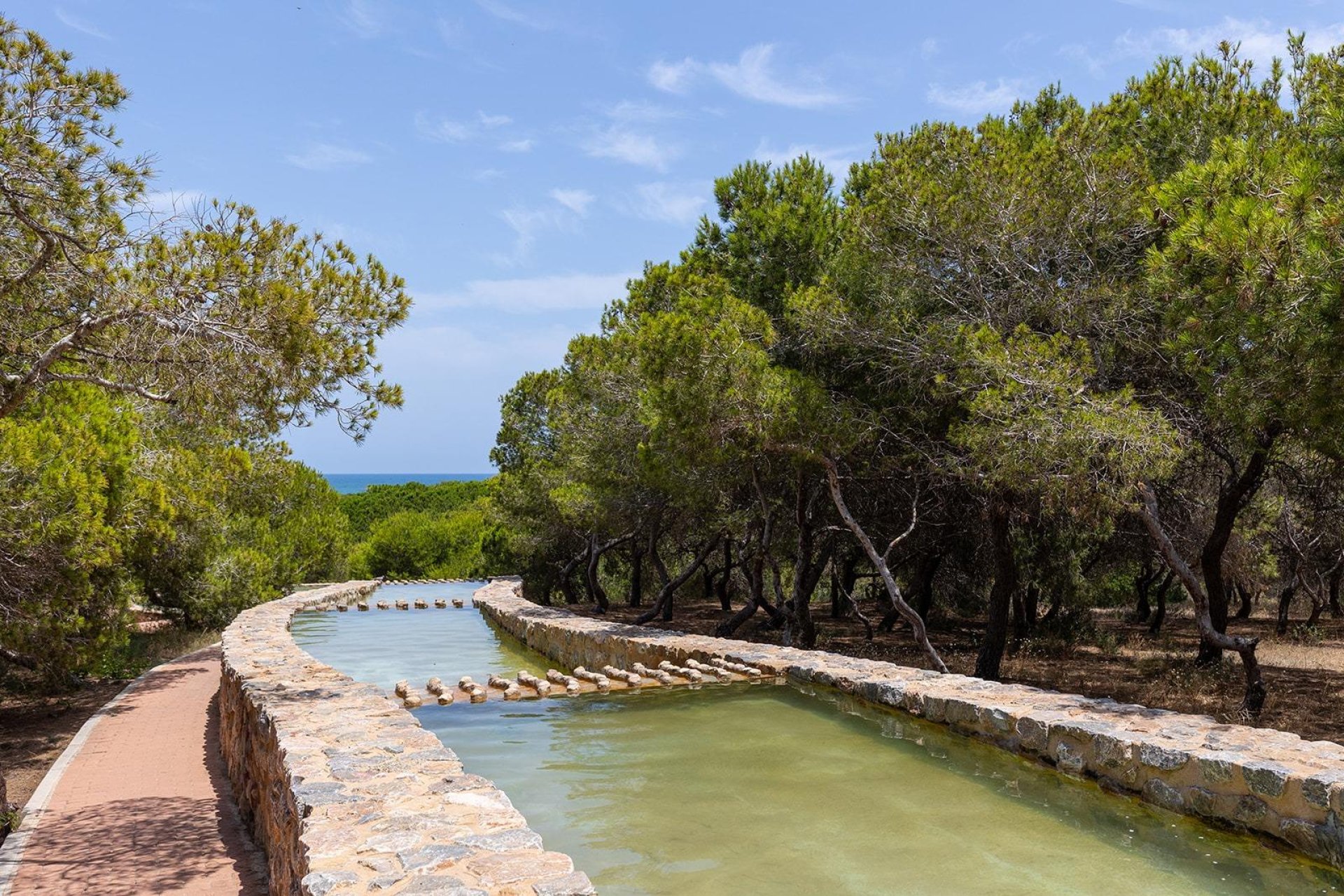 Rynek wtórny - Bungalow - Torrevieja - La Mata