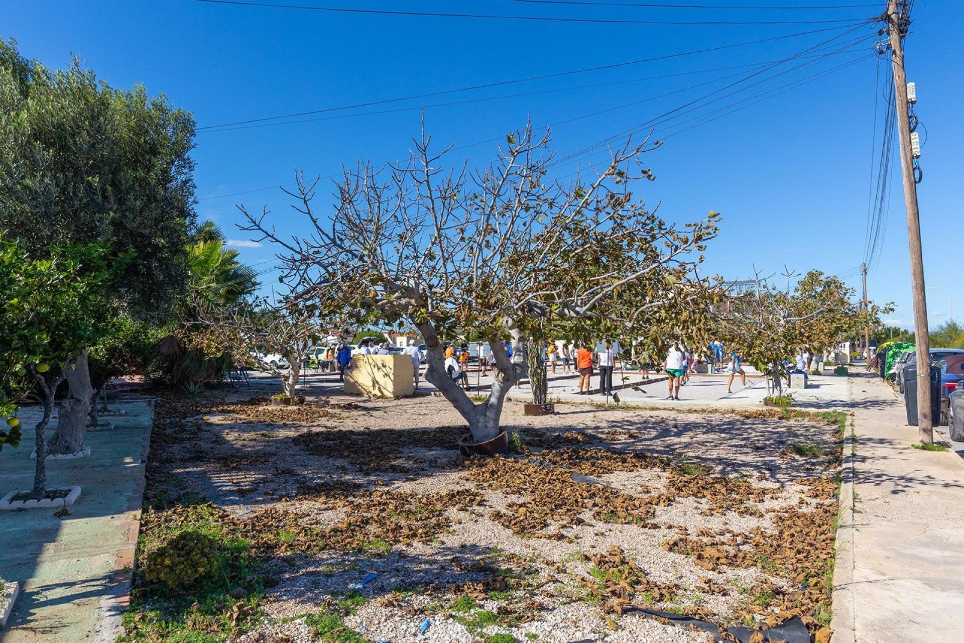 Rynek wtórny - Bungalow - Torrevieja - La Siesta - El Salado - Torreta