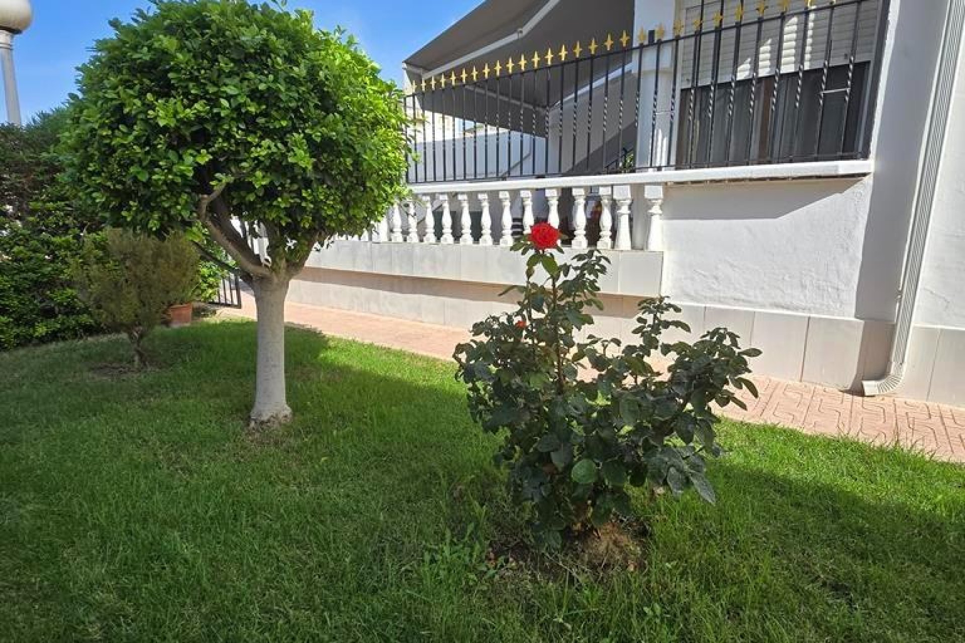 Rynek wtórny - Bungalow - Torrevieja - Torreblanca