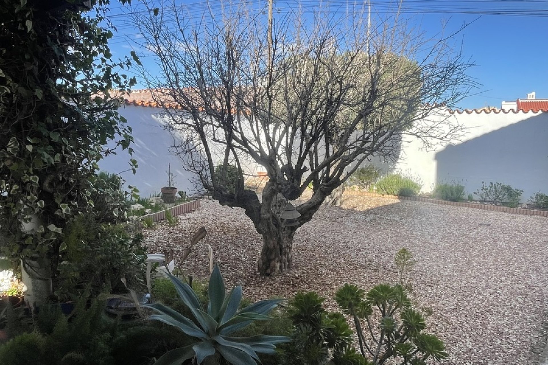 Rynek wtórny -  - Ciudad Quesada