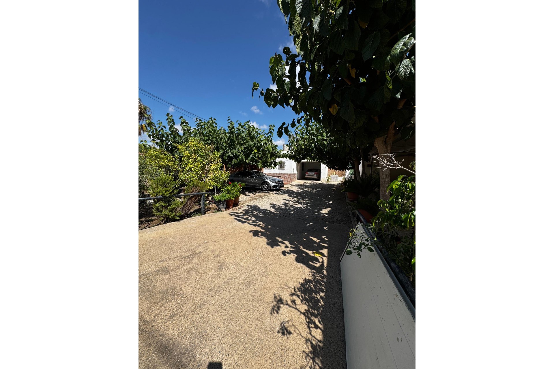 Rynek wtórny - Dom - Los Alcázares