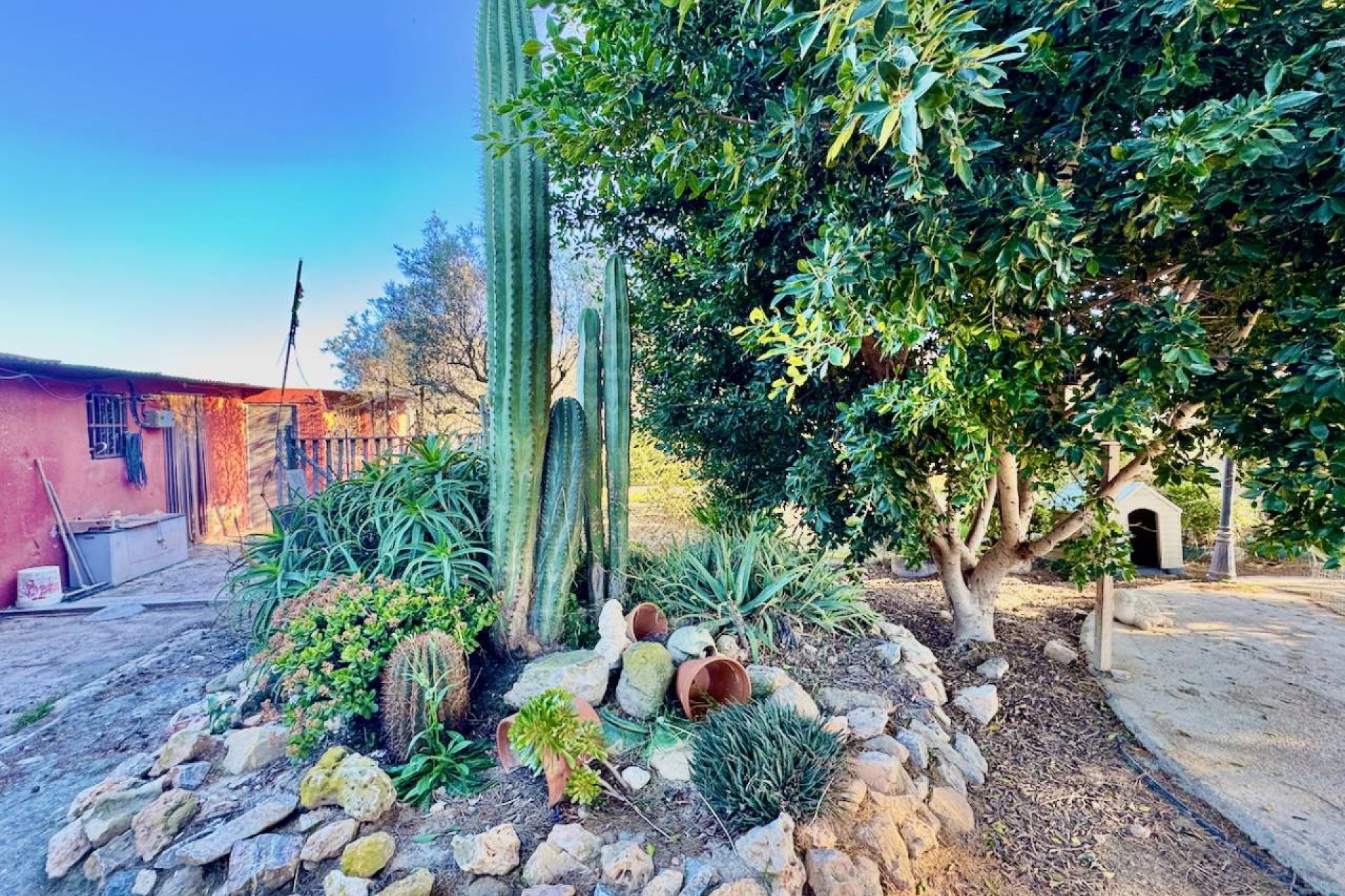 Rynek wtórny - Finca / Nieruchomość wiejska - Guardamar del Segura