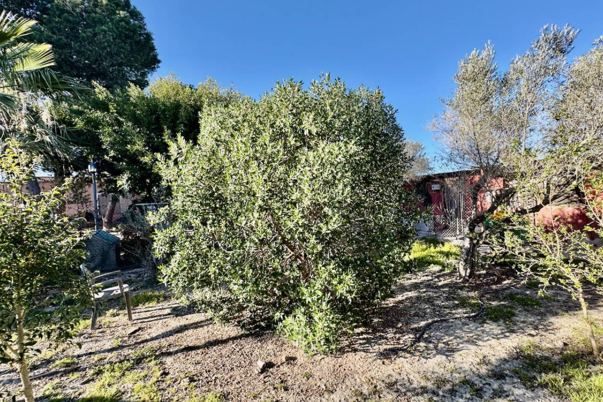 Rynek wtórny - Finca / Nieruchomość wiejska - Guardamar del Segura