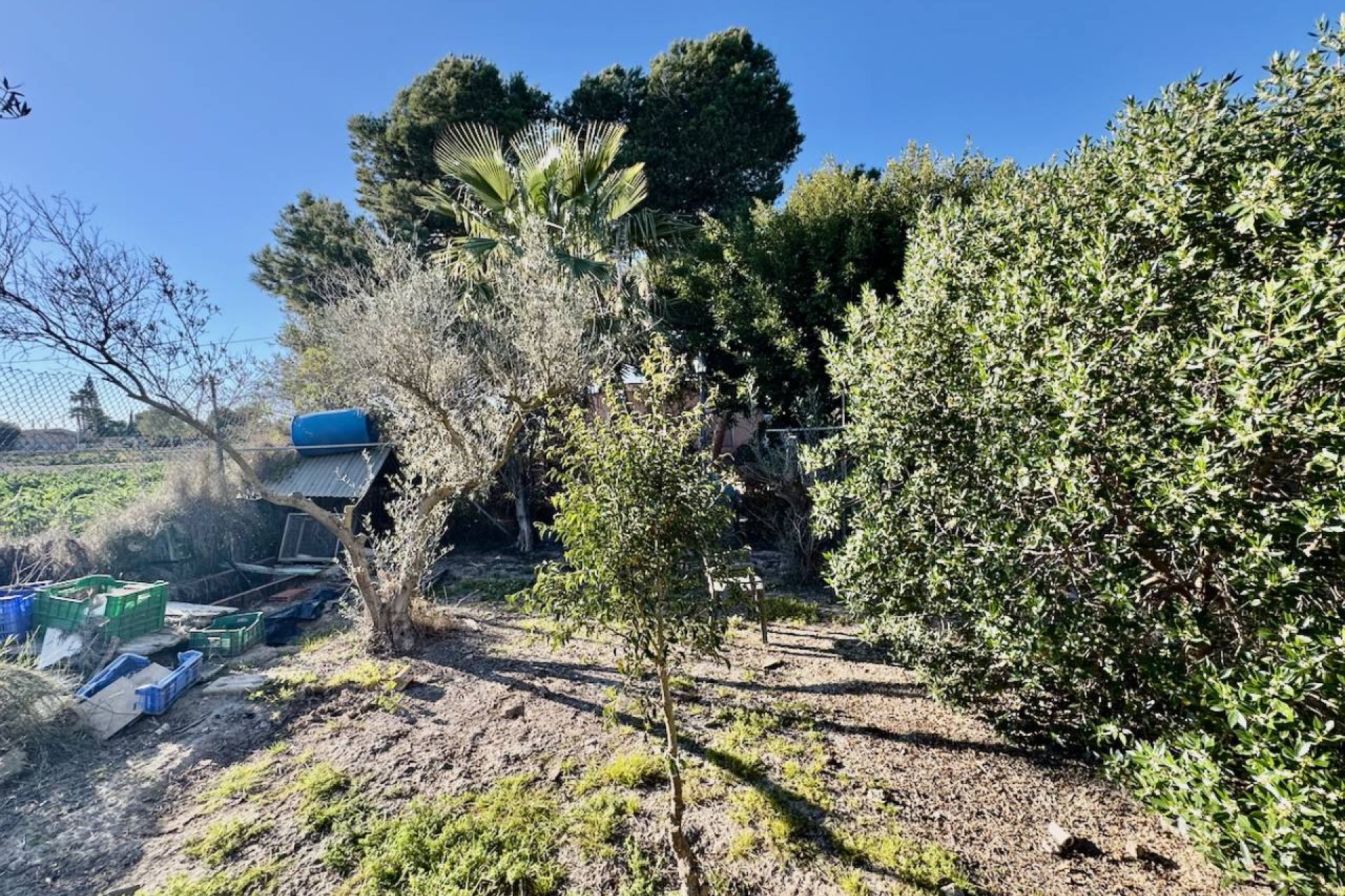 Rynek wtórny - Finca / Nieruchomość wiejska - Guardamar del Segura