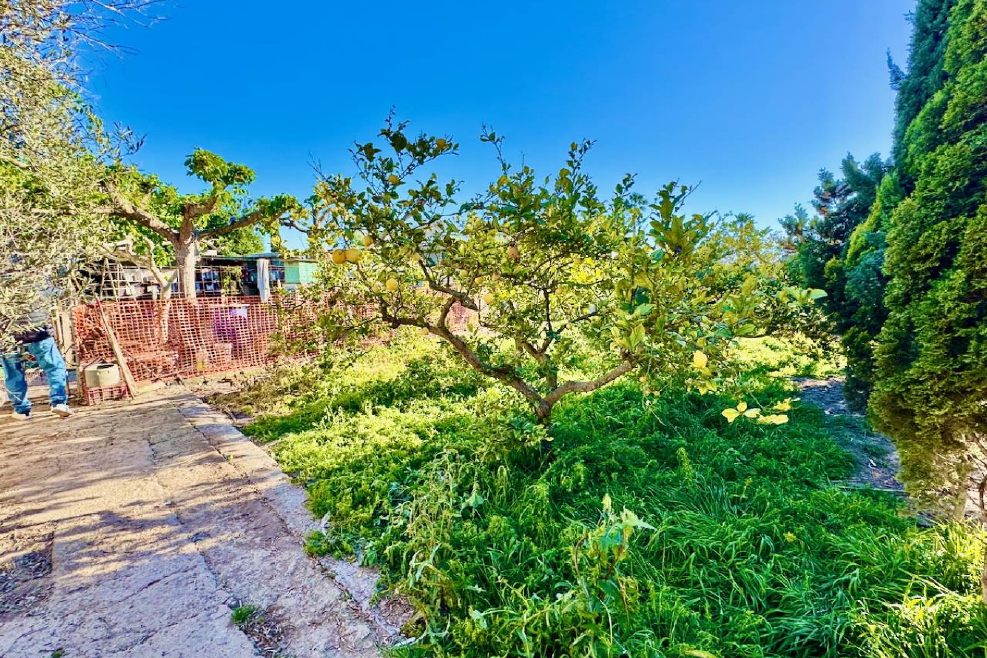 Rynek wtórny - Finca / Nieruchomość wiejska - Guardamar del Segura