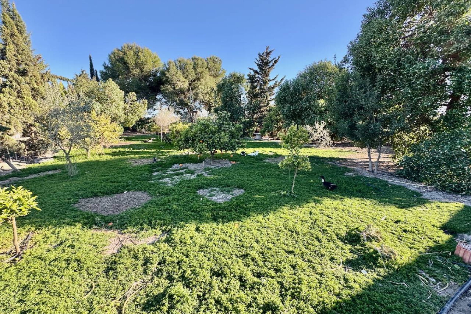 Rynek wtórny - Finca / Nieruchomość wiejska - Guardamar del Segura