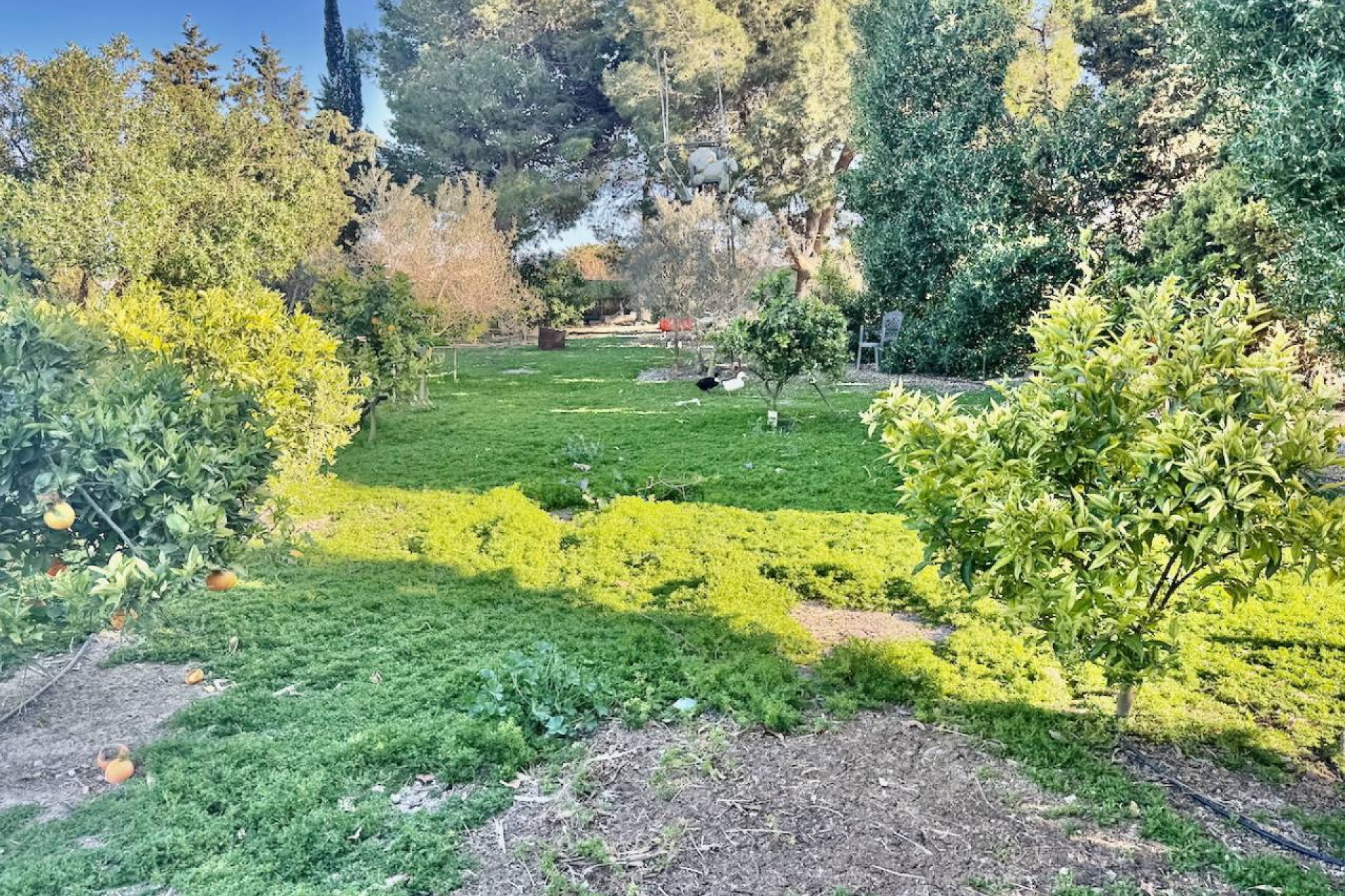 Rynek wtórny - Finca / Nieruchomość wiejska - Guardamar del Segura