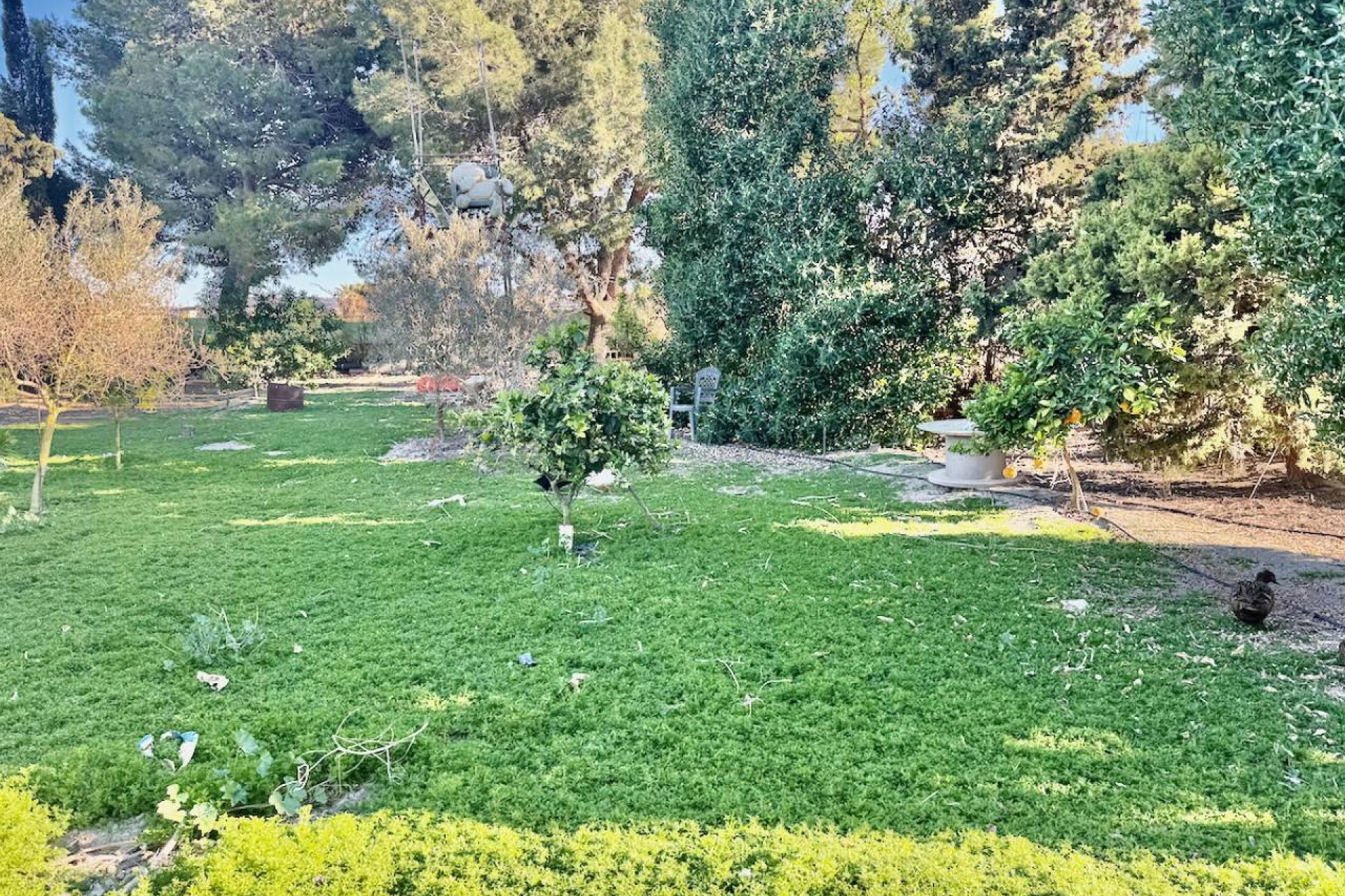 Rynek wtórny - Finca / Nieruchomość wiejska - Guardamar del Segura