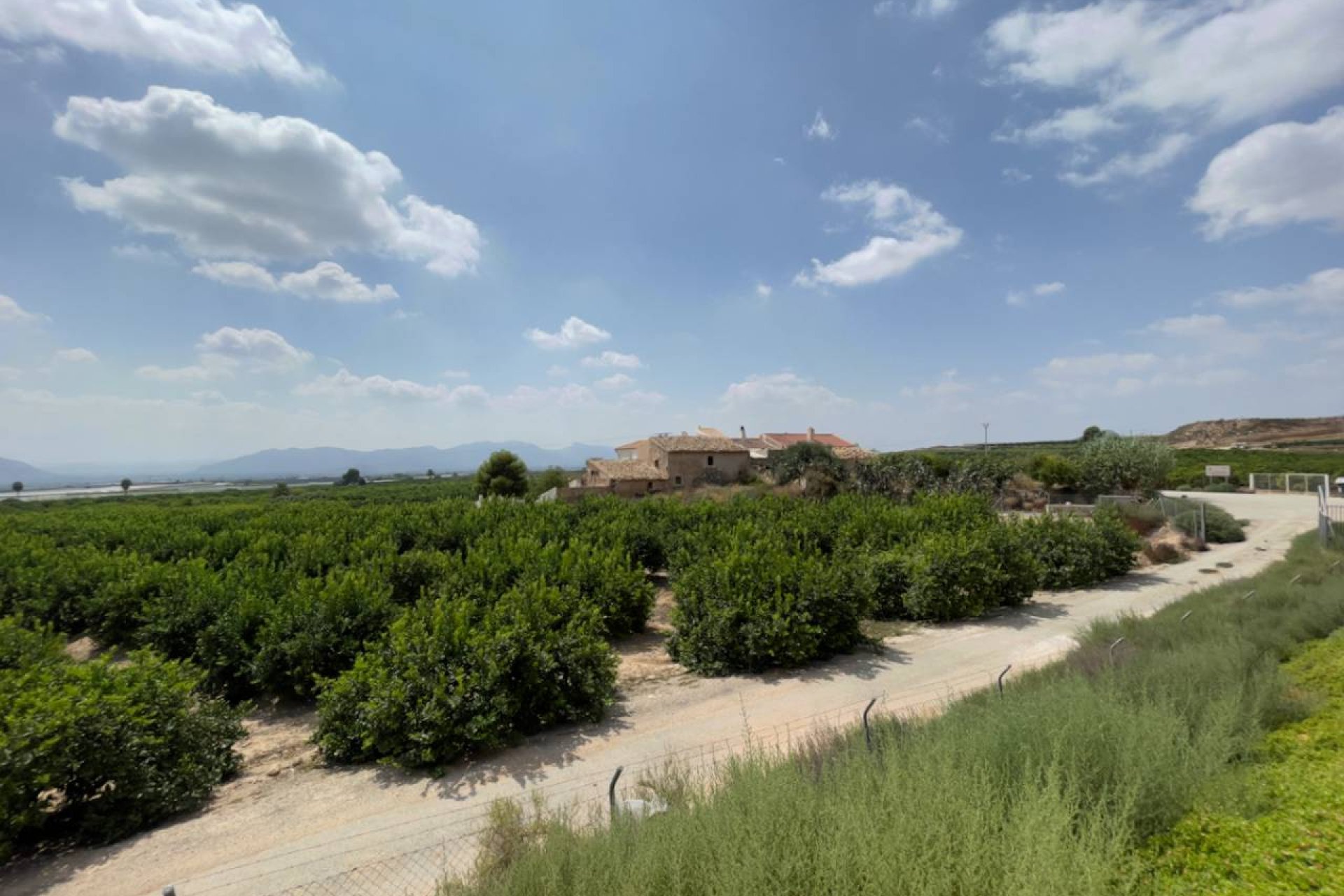 Rynek wtórny - Finca / Nieruchomość wiejska - Orihuela