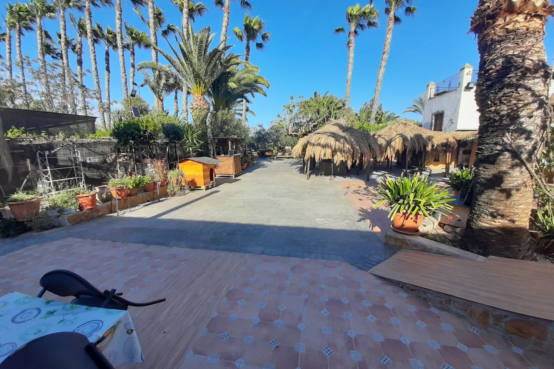 Rynek wtórny - Finca - Orihuela Costa - Orihuela