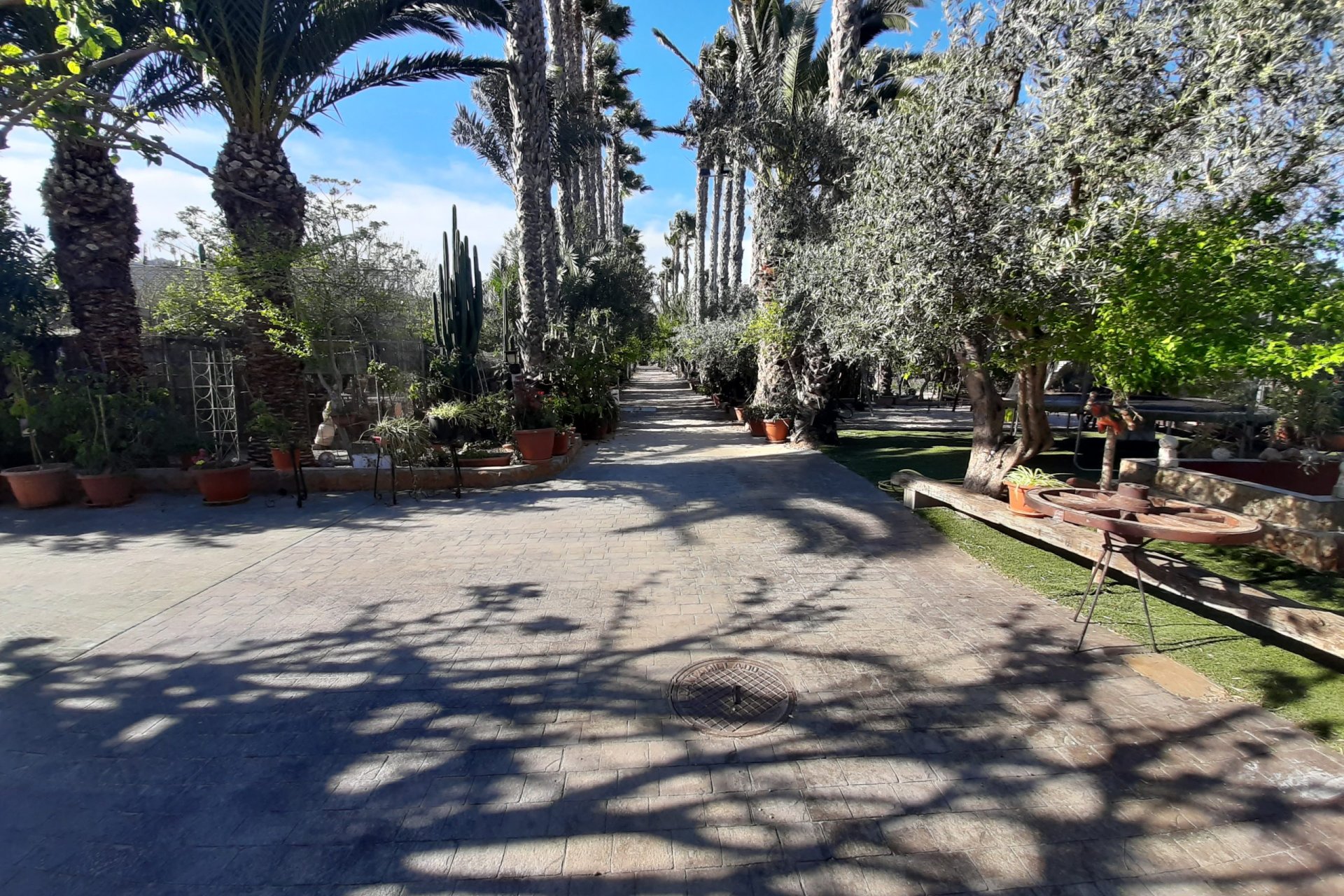 Rynek wtórny - Finca - Orihuela Costa - Orihuela