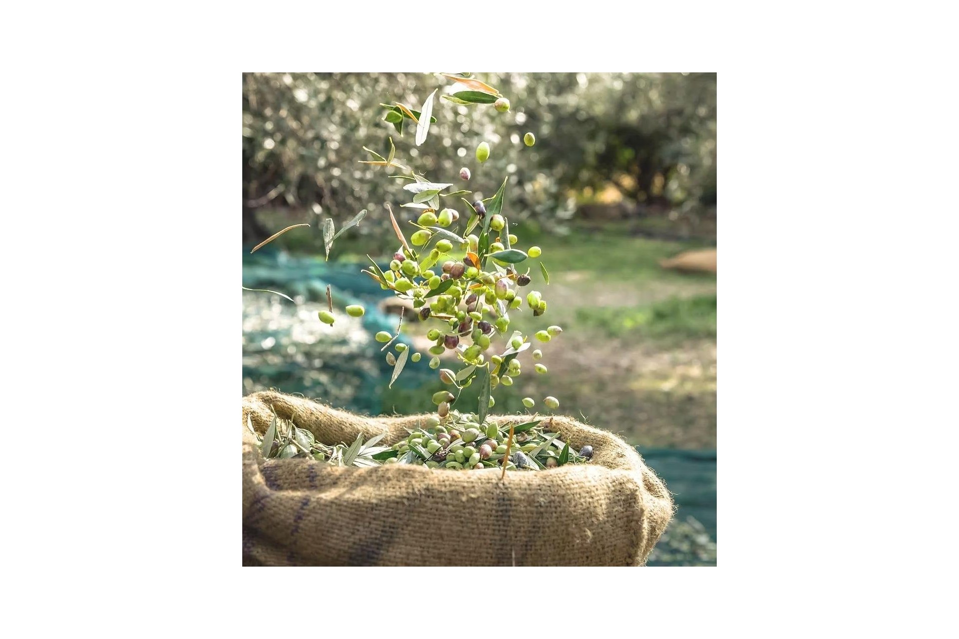 Rynek wtórny -  - Murcia - Rincón de Seca