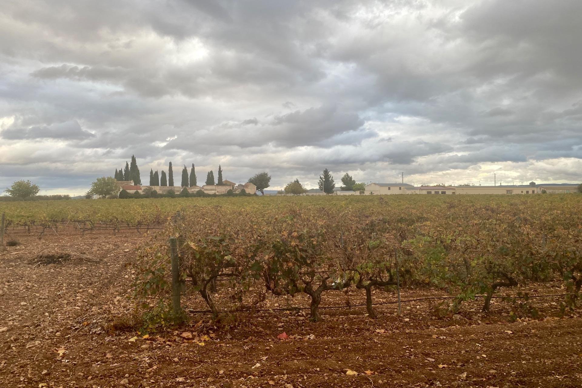 Rynek wtórny - Oferta specjalna - Albacete