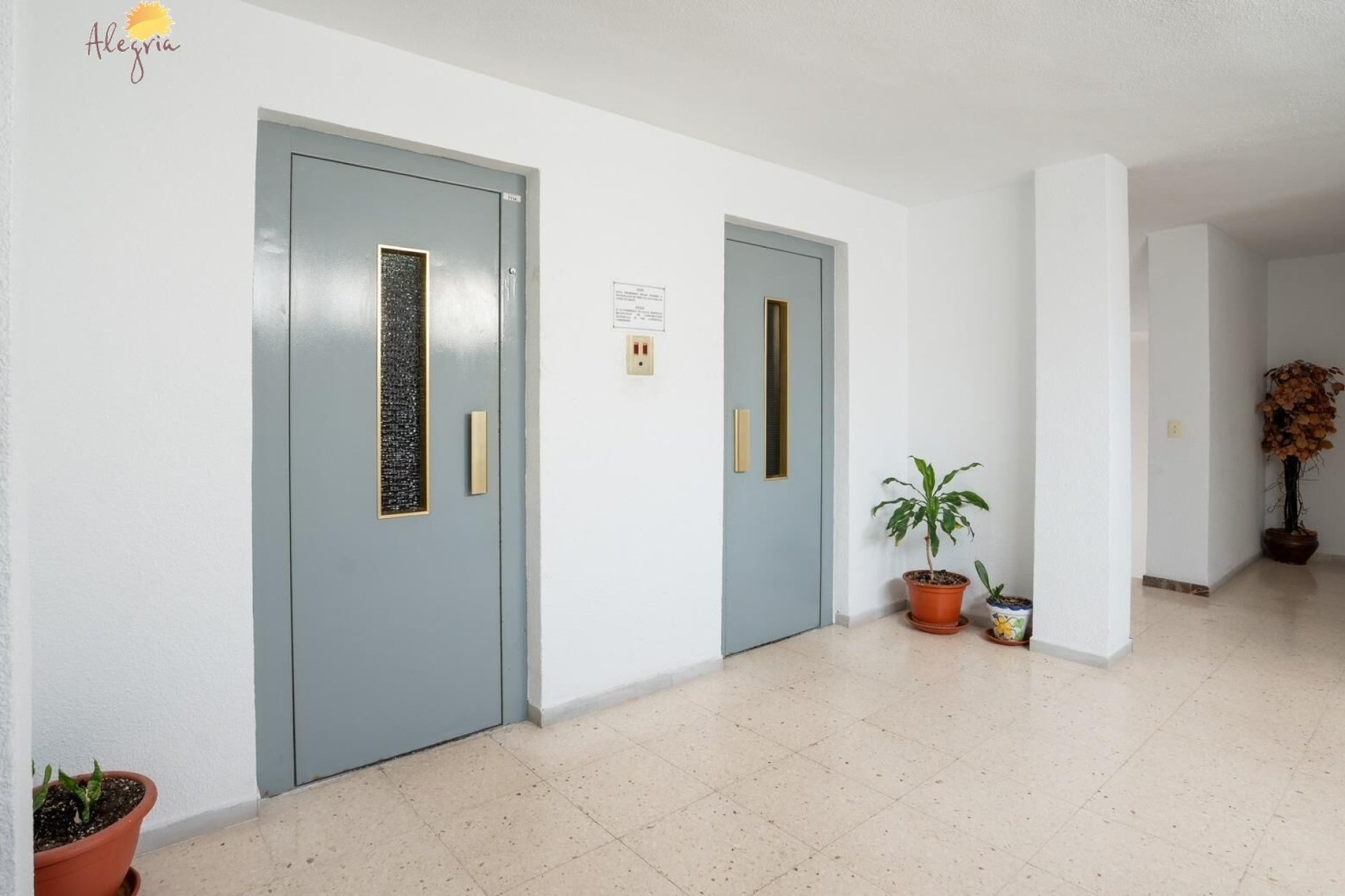 Rynek wtórny - Penthouse - Torrevieja - Acequion