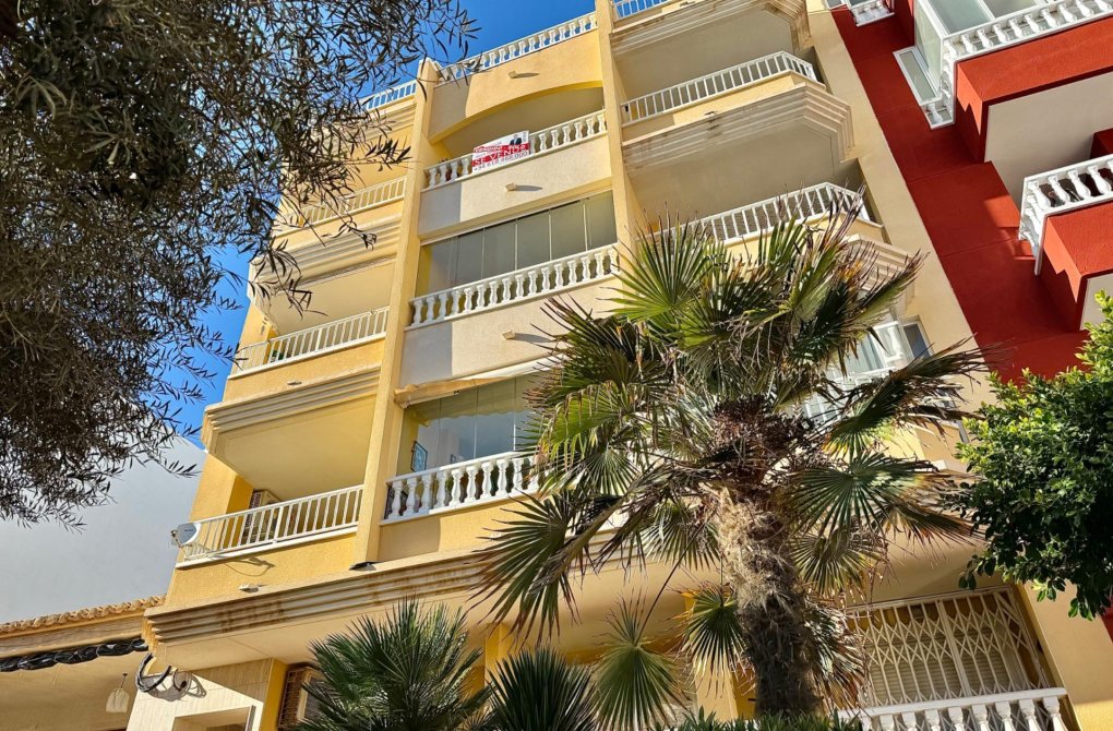 Rynek wtórny - Penthouse - Torrevieja - La Mata pueblo