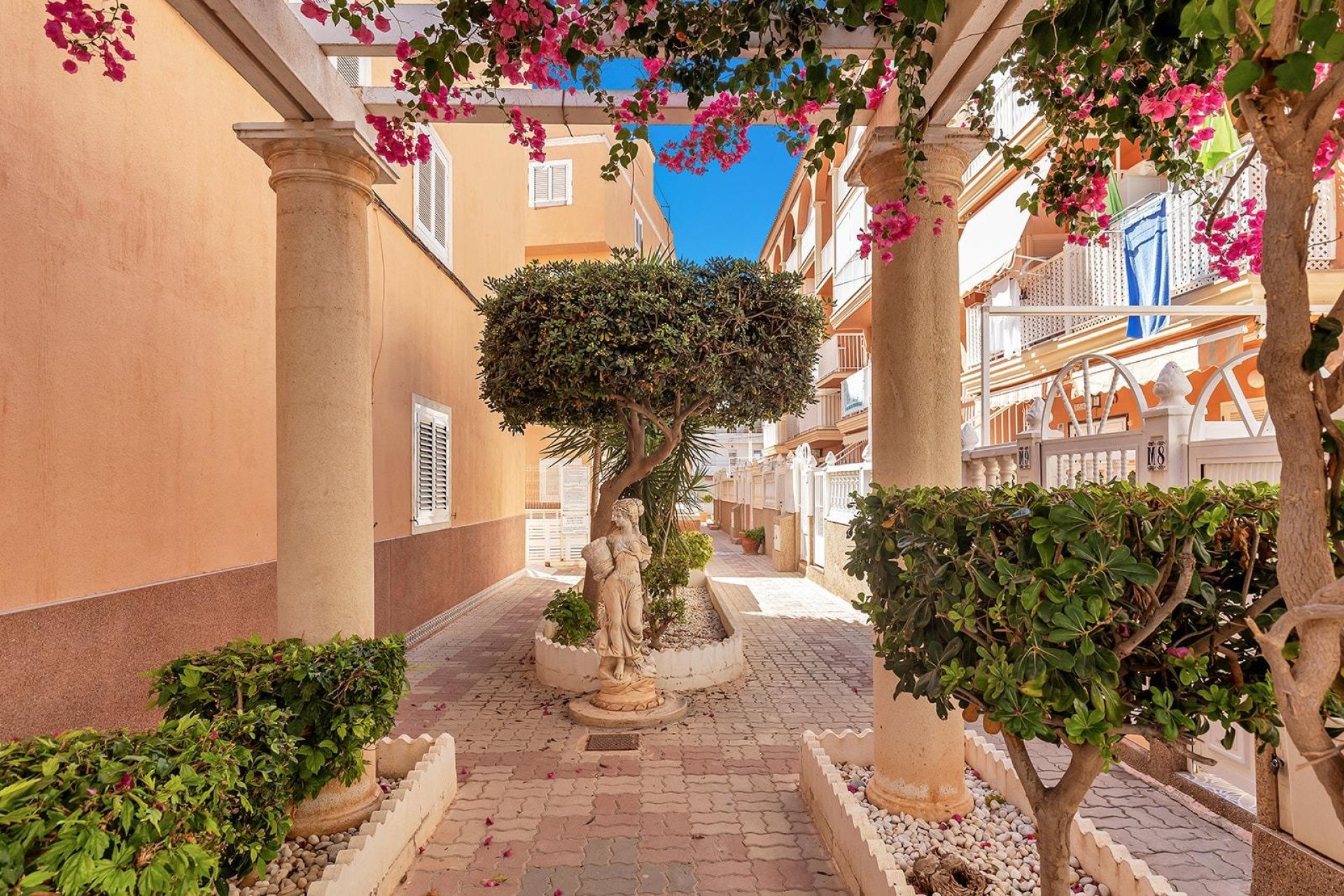 Rynek wtórny - Penthouse - Torrevieja - La Mata pueblo