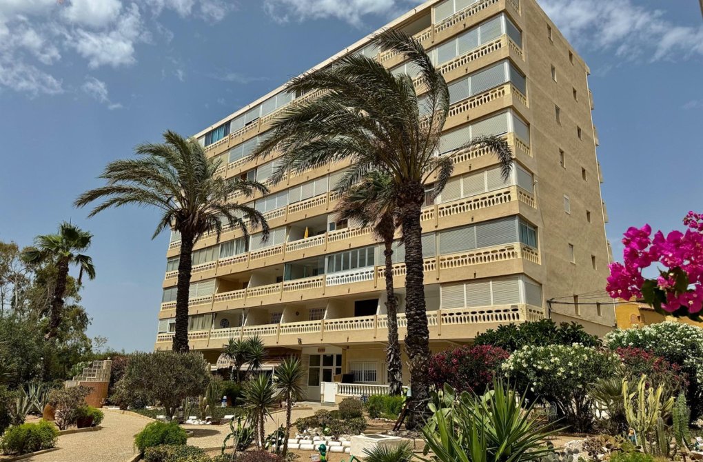 Rynek wtórny - Penthouse - Torrevieja - La Mata